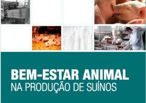captura-de-tela-2016-09-16-as-11-49-37